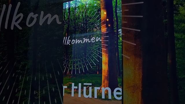 Demostracíón Ter hurne Hywood смотреть онлайн