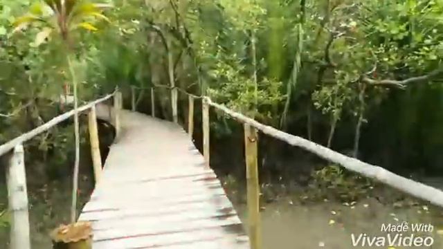 trip to kalibo смотреть онлайн