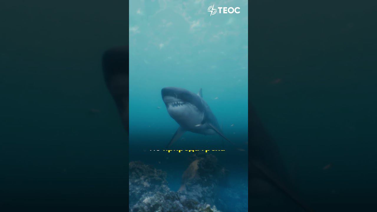 Подумаешь, грех смотреть онлайн