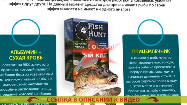 ⭐ ПРИКОРМКА ДЛЯ РЫБЫ НА РЕКЕ ЛЕТОМ смотреть онлайн