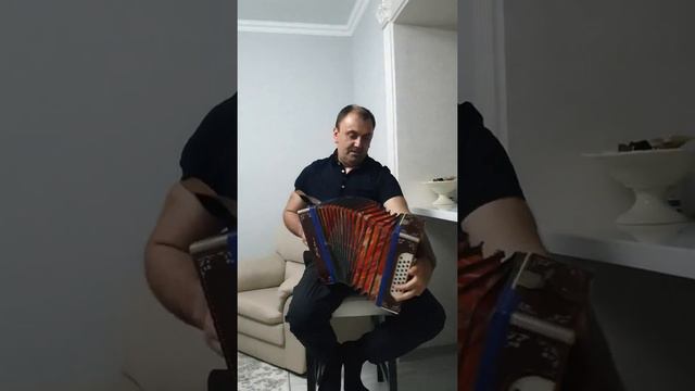 Валентин Перчемли. Гармонь. Чишмикиой. Гагаузия смотреть онлайн