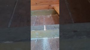 Полы по деревянным лагам первого этажа на ленточном фундаменте.