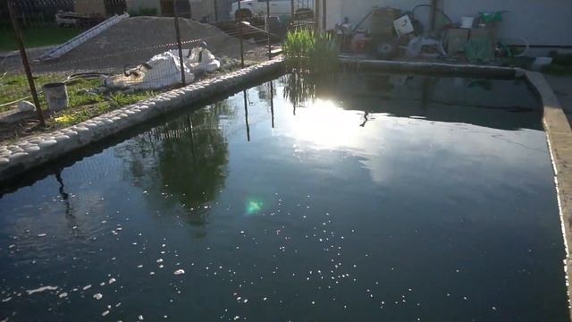 Немного о форели и осетра смотреть онлайн