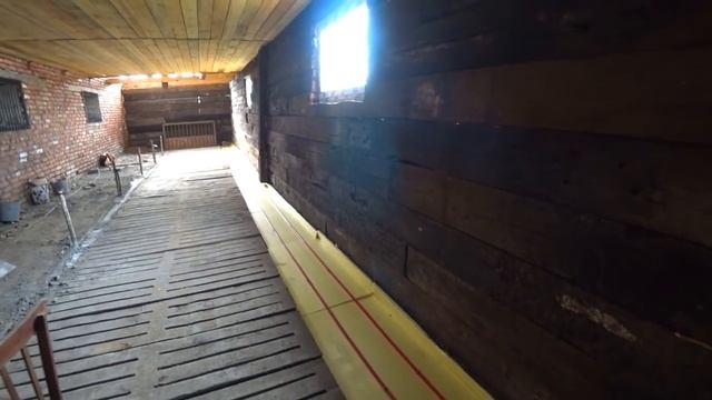 Рацион для свиноматок