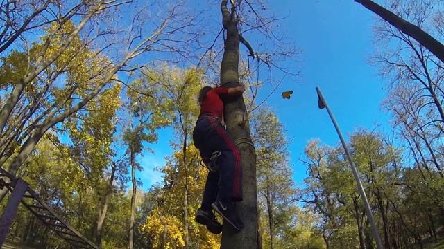 Как залезть на дерево при помощи веревки смотреть онлайн