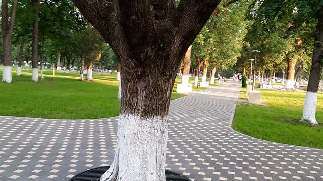 Без названия смотреть онлайн