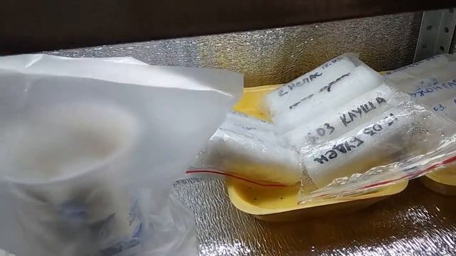 СТЕЛЛАЖИ! ПОЛОЧКИ! ДЛЯ РАССАДЫ! смотреть онлайн