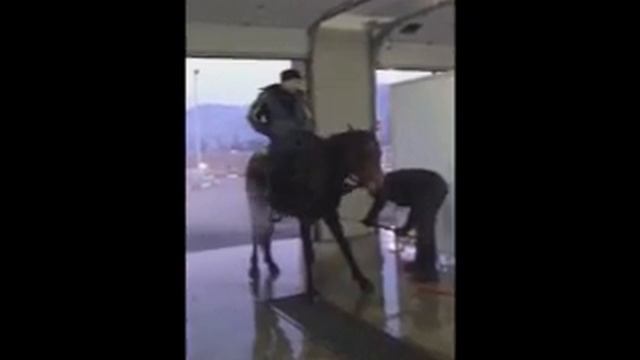 конь на мойке смотреть онлайн