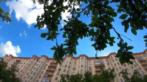 ВОРОНИНЫ ДОМ ИЗ СЕРИАЛА