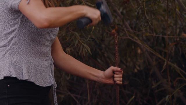 Lighting A Zoo With 2 Million Bulbs And 50 Miles Of Christmas Lights