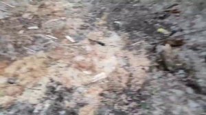 Корсар 16 - самые мощные петарды