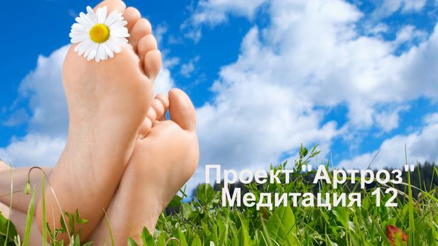 12 Проект _Артроз_ 12
