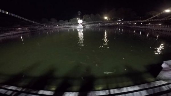 Дерево Будды. Бодхгайя. Индия. Part 3. Bodhgaya. India. Bodhi tree.