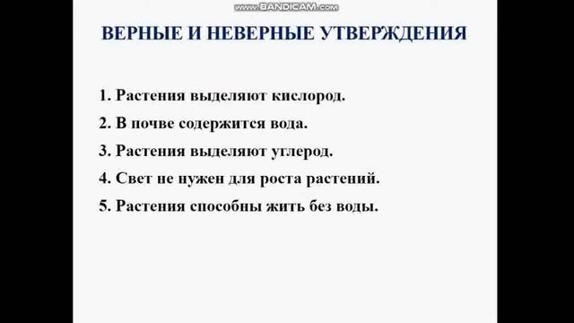 Урок Русского языка в 5 классе. Тема: Как растут деревья. Учитель Баширова Людмила Викторовна смотреть онлайн