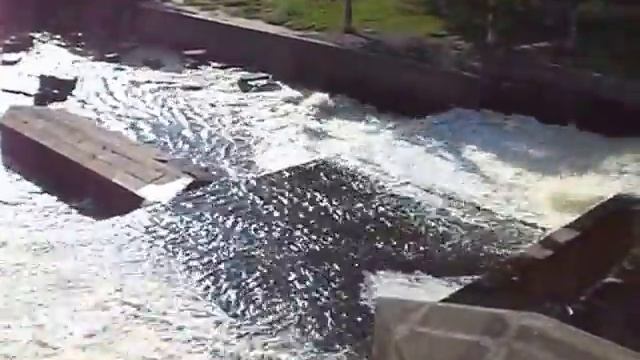 Сестрорецк ,спуск воды. смотреть онлайн