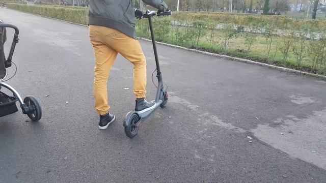 Original Xiaomi M365 Folding Electric Scooter Test - Review Price смотреть онлайн