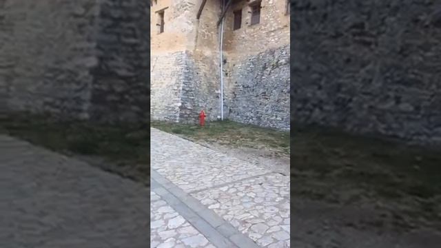 монах Афанасий Уезжаю из Великой Лавры 1mrxmLRYvmkJy смотреть онлайн