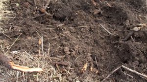 Новый участок / Что делать?