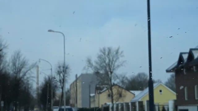 Прогулочка город Силламяэ 🇪🇪 Сегодня 8 Марта. Всех женщин поздравляю 💐 смотреть онлайн
