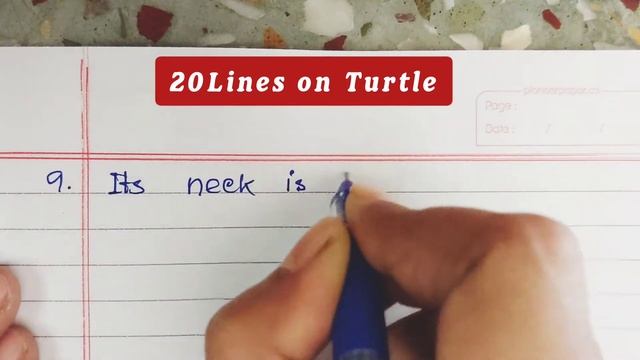20lines Essay on Turtle ? in English|| Paragraph writing on Tortoise in English|| Tortoise Essay смотреть онлайн