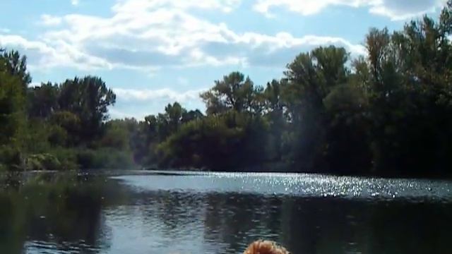 10.09.2019 Стоянка для отдыха в Жирновском районе.