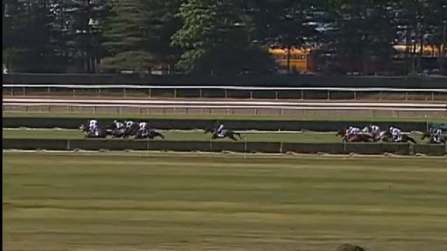 2009 Woodford Reserve Manhattan Handicap (GI) - Gio Ponti смотреть онлайн