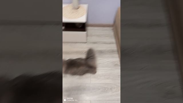 Чем еще потереть не знаю, в комнате пахнет кофе с молоком. Интернет в помощь смотреть онлайн