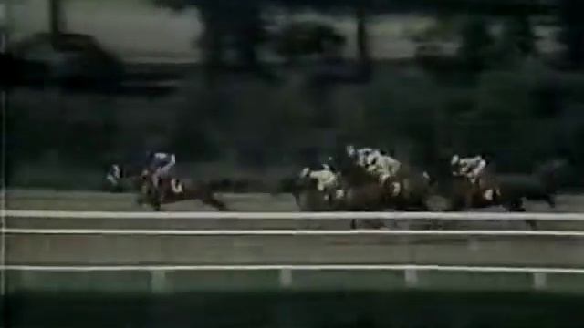 Groovy. A compilation of American Thoroughbred Champion sprint racehorse Groovy. смотреть онлайн