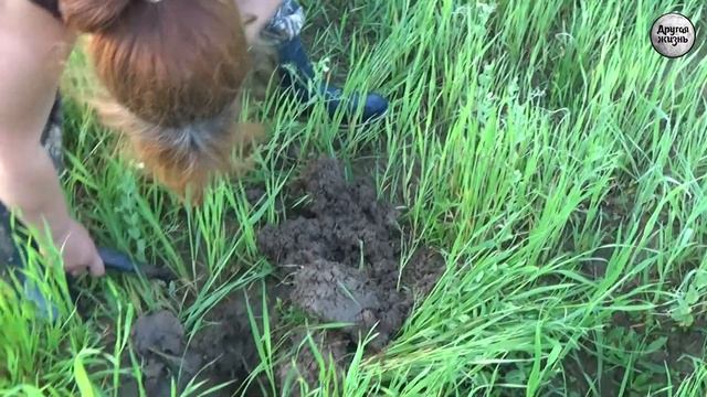 Тихий тёрок разговор, нам сулит монеток звон! смотреть онлайн