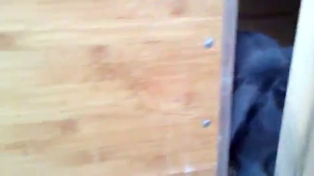 Люцерна для кроликов смотреть онлайн