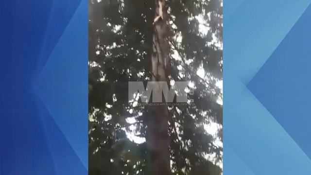 Молния в Междуреченске загорелся дом смотреть онлайн