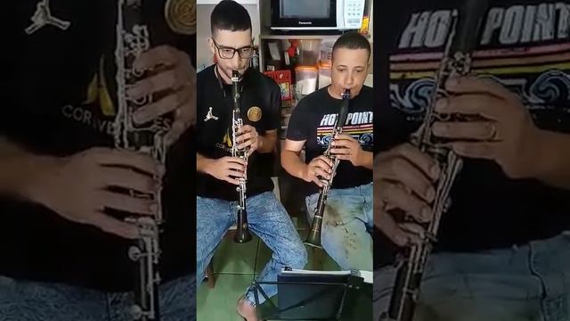 Hino 416.. #clarinet #clarinete #moresky #dolphin #ccb