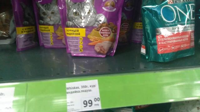 корм для кошек смотреть онлайн