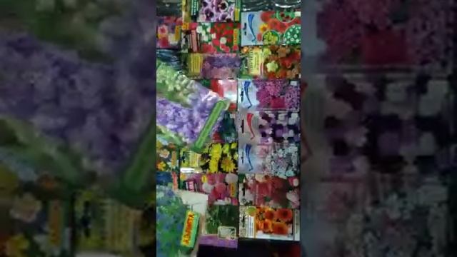 Что такое стратификация, способы и применение для различных растений. смотреть онлайн