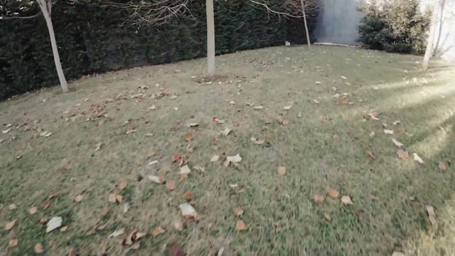 DJI Avata - Orbit with motion controller смотреть онлайн