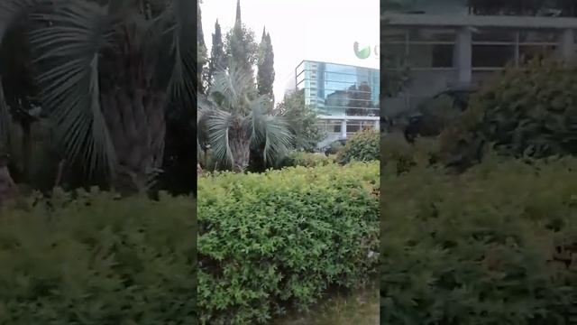Адлер прогуляю вас от улицы Ленина до ул.Чкалова 70Б в сторону Кудепсты смотреть онлайн
