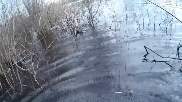 Турнир по ловле рыбы спиннингом с берега Кубок S-FISHING.PRO 2017