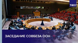 Заседание Совбеза ООН