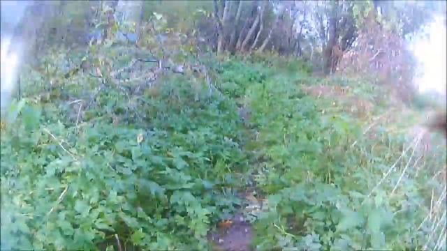 на рыбалке на каменке мест много но ловиться только в некоторых смотреть онлайн