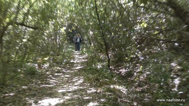 Тропы Афона - Святой Афон Греция смотреть онлайн