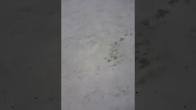 Ледяная горка в овраге смотреть онлайн