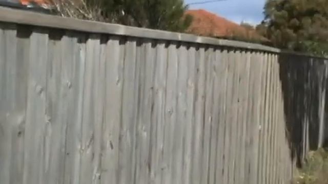 DCR-SR42 test video смотреть онлайн