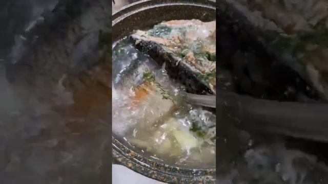 Лососевый суп #вкусно #еда #едимдома #суп смотреть онлайн