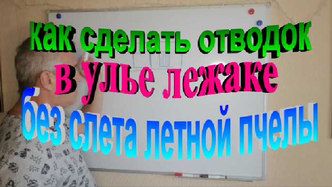 Как сделать отводок в улье лежаке без слета летной пчелы на своей пасеке смотреть онлайн