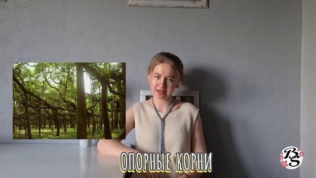 ВИДОИЗМЕНЕНИЯ КОРНЕЙ|БОТАНИКА смотреть онлайн