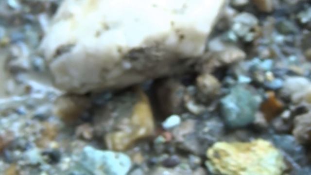 Место где много золота и дикого зверья #2!!! Нашёл золото и шикарные камни!!! смотреть онлайн