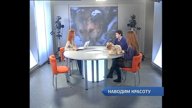 грумер это стилист домашних питомцев.mp4 смотреть онлайн