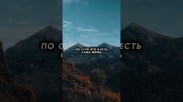 мудрый слова