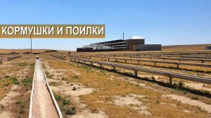 Оборудование зимнего база. Кормушки и поилки для овец. Устройство проплывной ямы. Содержание овец