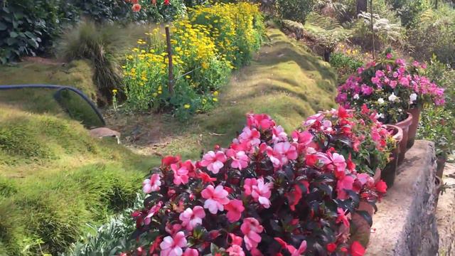 Floriculture Centre [ Munnar, Kerala, India ] смотреть онлайн